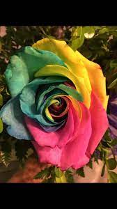 Photos, address, and phone number, opening hours, photos, and user reviews on yandex.maps. Buzzy Bee Flowers Gifts Home Facebook