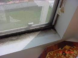 How To Get Rid Of Mold Mildew On Aluminum Windows Homesteady Get Rid Of Mold Aluminium Windows Cleaning Window Tracks