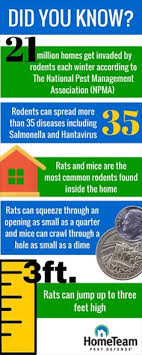 The #1 pest management company for home builders. 100 Pests Ideas Pests Licence To Kill Termite Pest Control