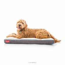 As a dog owner, you've always wanted to give your loyal, furry friend a comfy spot they can call their own. Best Dog Beds Top Rated Dog Beds 2019 American Kennel Club