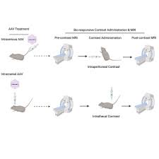 Image result for White 1997 AAV