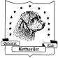 Colonial Rottweiler Club – Carting Test event in Palmyra, PA