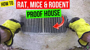 We did not find results for: How To Protect Your Home From Rats Mice Rodents Jonny Diy Youtube