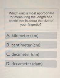 What Is A Decimeter? Units, Definition, Solved Examples, Facts