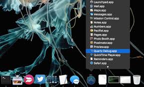 Tick the box for magnification to enable an animation that makes the dock items that your cursor hovers over larger. How To Enable A Hidden Stacks List View In Os X Osxdaily