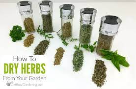 Check spelling or type a new query. How To Dry Herbs The Right Way 6 Different Methods
