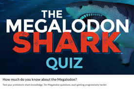 Megalodon Size How Big Was The Megalodon Shark Fossilera Com