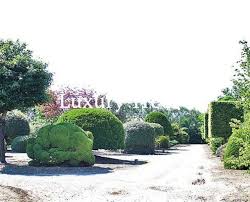 Grundsätzlich geht man beim modernen sichtschutz im garten von einer geraden und ruhigen linienführung aus. Sichtschutz Luxurytrees Osterreich