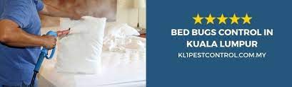 Find resources and products to eliminate this common pest. Bed Bug Control Service View Price Packages 2021