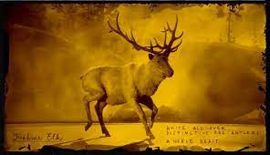 All Legendary Animals In Red Dead Online Gamepur