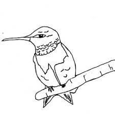 Hummingbird coloring pages is a section presenting to young artists a collection of images of the smallest bird on the planet. Hummingbirds For Kids Fun Facts And Activities