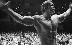 arnold schwarzenegger volume workout routines muscle