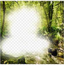 Forest Frame Png Image Forest Frame Png Image With Transparent Background Png Free Png Images Png Images Transparent Background Background Images