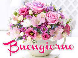 Immagini buongiorno, aforismi, citazioni e messaggi sul buongiorno. Mazzo Di Fiori Buongiorno
