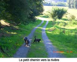 Le camping a la ferme est une pratique relativement récente au regard de l'hôtellerie de plein air, qui se développe fortement ces dernières. Camping Le Mas D Azil Vergers De Sesame Ariege Pyrenees