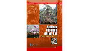 Salah satu alternatif yg dapat diperlukan yaitu dgn memanfaatkan medium tanam tabulampot. Siplah Budidaya Tanaman Dalam Pot