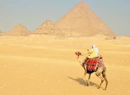 Take this camel test to get real (no) price information. Tour To Pyramids And Egyptian Museum From Cairo 2021 Happytovisit Com