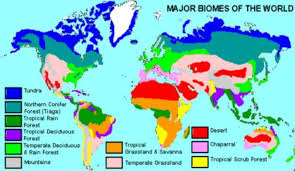 Biomes Found In The United States Tundra Lessons Tes Teach Biomes Tundra Map