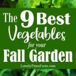 We did not find results for: 9 Best Vegetables For Your Fall Garden Lonely Pines Farm