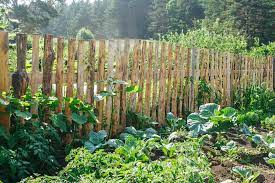 For small creatures, a small fence with no holes will do. How To Keep Animals Out Of Garden Without Fences 10 Methods