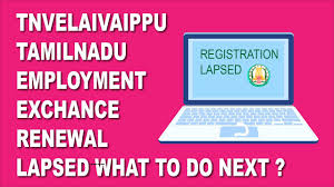 After completion of the registration, you will receive step 15: Tnvelaivaaippu Lapsed Renewal 2020 Lapsed Offer