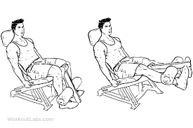 The exercise works mainly the quadriceps muscles of the front of the thigh—the rectus femoris and the vastus muscles. Seated Machine Leg Extensions Workoutlabs Exercise Guide