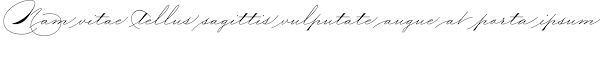 With so many free fonts online, you might be wondering, what fonts are free for commercial use? Wedding Script Font By Blessed Print Creative Fabrica