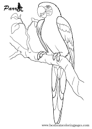 Free Printable Parrot Coloring Pages For Kids Butterfly Coloring Page Bird Coloring Pages Coloring Pages