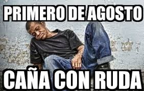 Se debe agregar a una botella de no más de 250 centímetros cúbicos, hojas de ruda macho, ya que son más. Facebook
