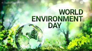 This year, the theme is 'celebrating biodiversity'. World Environment Day 2019 Theme Slogans Quotes Images Status Poster Messages Hd Wallpapers Whatsapp Photos Pictures