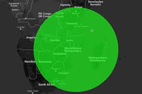 Image result for Cyclantheropsis parviflora