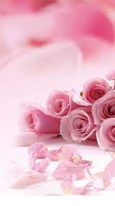 41 Cute Valentine Iphone Wallpapers Free To Download Pink Flowers Wallpaper Pink Rose Flower Flower Wallpaper