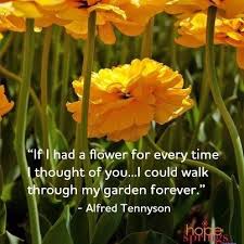 True Or False Nature Is Important To The Romantic Poets Answer True Romantic Poets Romantic Poetry British Literature