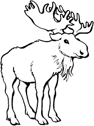 A new decoration grows in the spring. Elk Coloring Pages Elk 12 Gif Printable Coloring4free Coloring4free Com