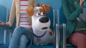 That's a 525 percent increase in 4. Secret Life Of Pets 2 Trailer Patton Oswalt S Max Goes To The Vet The Hollywood Reporter