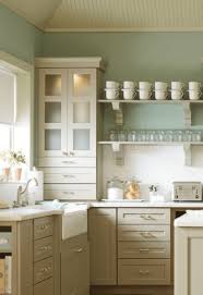 The Modern Rules Of Martha Stewart Kitchen Cabinets Tipton Kitchen Cabinets In 2020 Kitchen Cabinets Martha Stewart Kitchen Finish Kitchen Cabinets