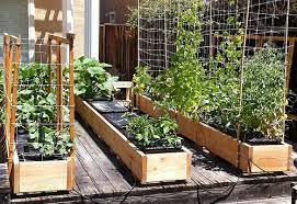 Take until 2022 to decide you want to keep them. Inside Urban Green International Garden Patch Grow Box