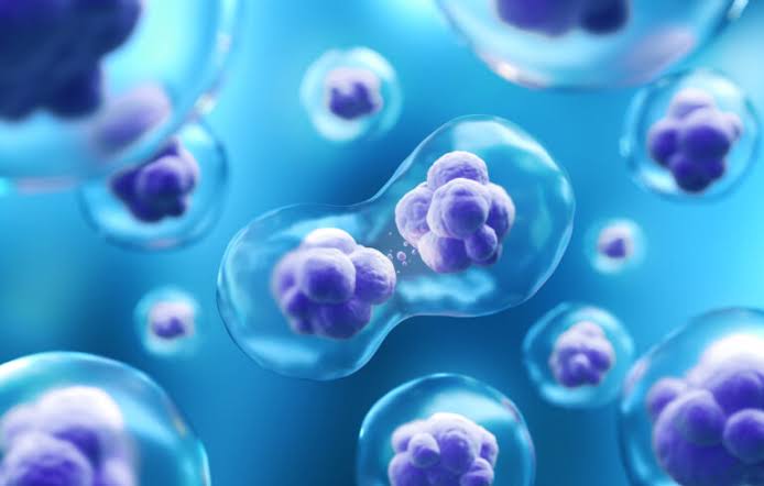 Stem Cell Clinic Mexico: Understanding Treatment Options and Safety