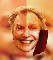 A Bronx Tale: One Sperm Donor, 19 Siblings, and Six Decades of Secrets