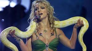 Image result for britney spears python