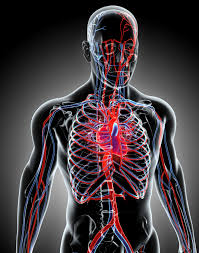 Vis din stil frem, og gem rodet væk. Sirkulasjonen Nhi No
