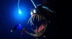 We did not find results for: Jenis Ikan Laut Dalam Yang Kalian Harus Tahu Ikanesia Id