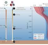 BG - The representation of alkalinity and the carbonate pump ...