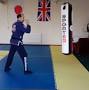 Shinka Ju-Jitsu Academy from m.youtube.com