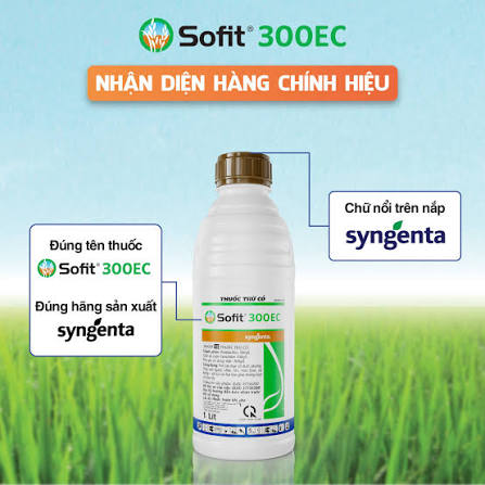 Sofit® 300EC
