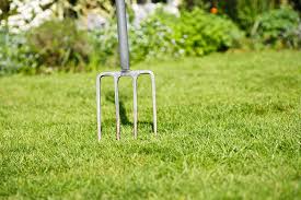 Reseed the lawn if necessary, and apply a light fertilizer a few weeks afterward to encourage new growth. Dethatching Vs Aerating Know These 3 Simple Truths