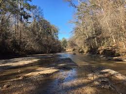 From wikimedia commons, the free media repository. Beautiful Natural Settings Park Review Of Homochitto National Forest Brookhaven Ms Tripadvisor