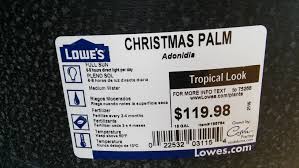 Lowe's home improvement palm coast, flagler county, florida, birleşik devletler lowe's home. Palms At Lowe S In The North Zone 6a 6b Discussing Palm Trees Worldwide Palmtalk