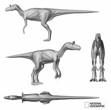Rolprikol Adli Kullanicinin Orthogonal Panosundaki Pin Hayvanlar Cizim Ahsap Isleme