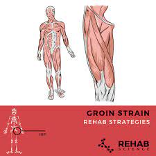 Related online courses on physioplus. Groin Strain Rehab Science